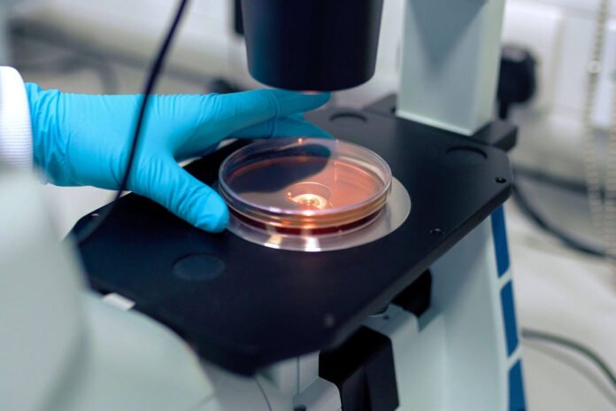 All that You Need to Know About the Coronavirus Outbreak